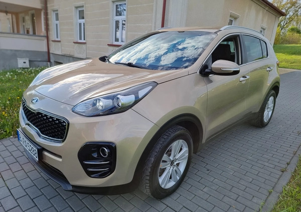 Kia Sportage cena 68900 przebieg: 104000, rok produkcji 2016 z Strzelce Opolskie małe 466